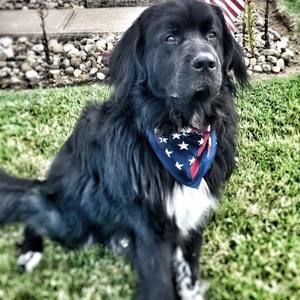 Meet your Posher, Jonah